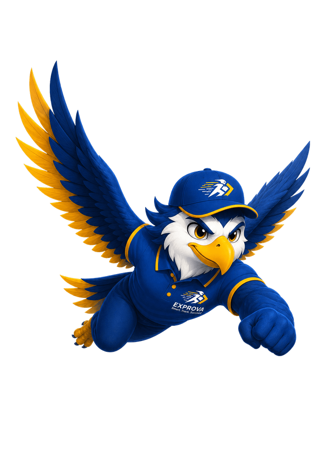Exprova Flying Falcon
